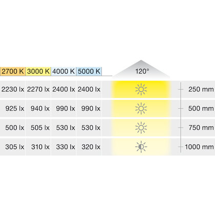 LED pás,Handafele Loox5 Eco 3074, 24 V, 8 mm, 2 póly (jednof),120 LED/m, 9,6 W/m, IP20 studená b.5m