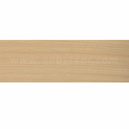 ABS 22mm/2,0 mm javor  dek.hl. 4851 